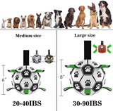 Interactive Inflatable Dog Football For Training