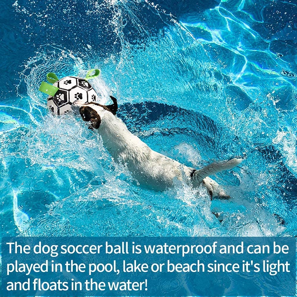 Interactive Inflatable Dog Football For Training