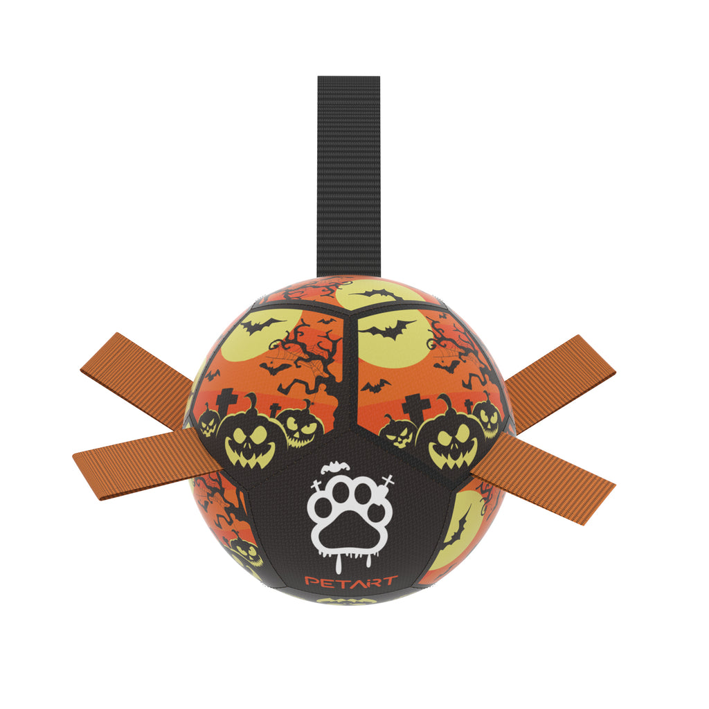 Interactive Inflatable Dog Football For Training - Product Detail 1