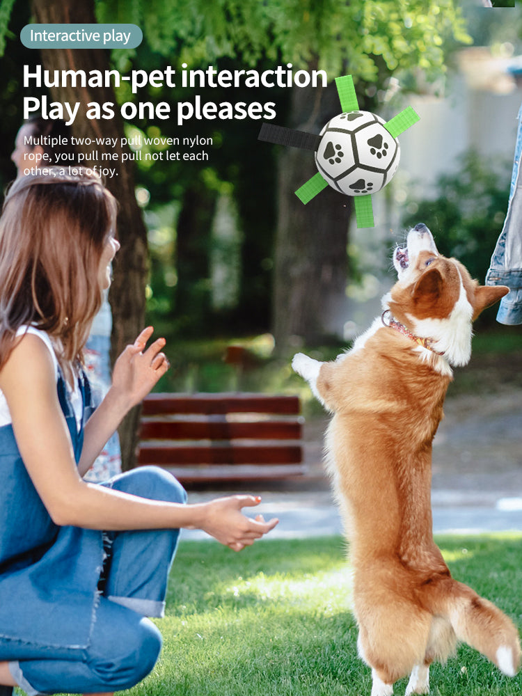 Interactive Inflatable Dog Football For Training - Product Detail 12