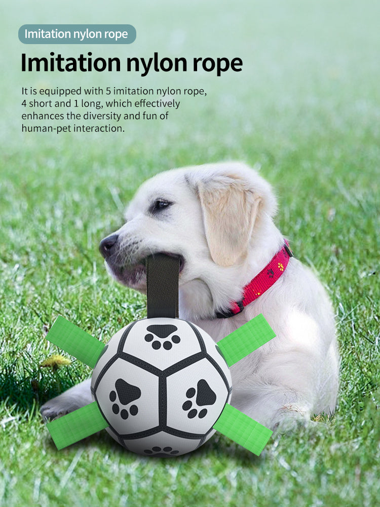 Interactive Inflatable Dog Football For Training - Product Detail 13