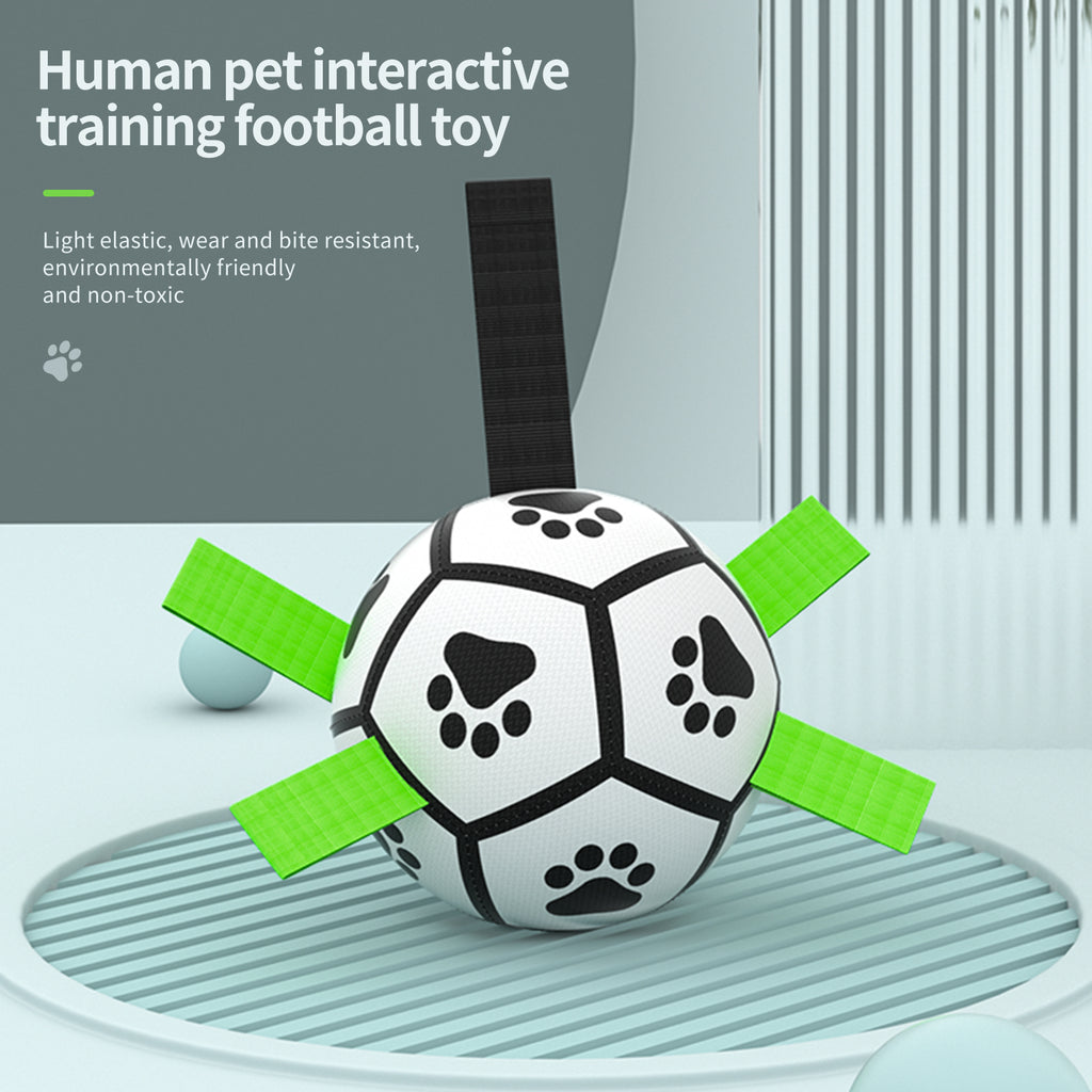 Interactive Inflatable Dog Football For Training - Product Detail 14