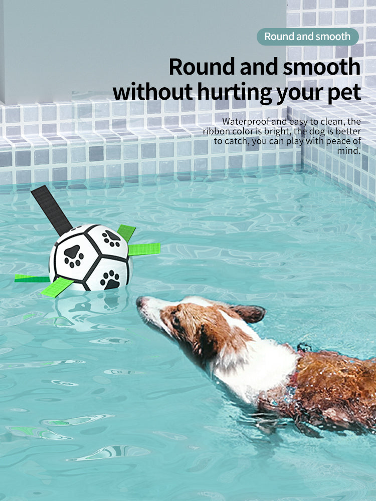 Interactive Inflatable Dog Football For Training - Product Detail 16