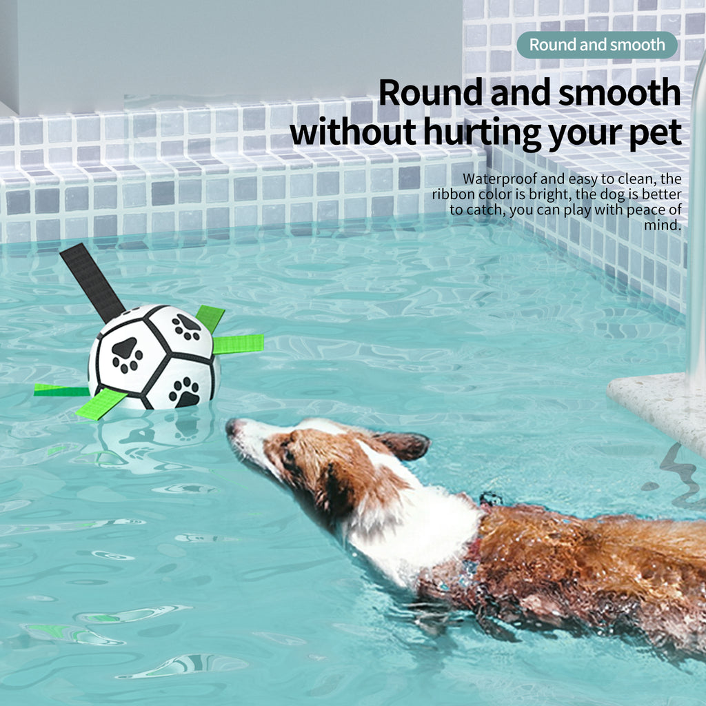 Interactive Inflatable Dog Football For Training - Product Detail 18