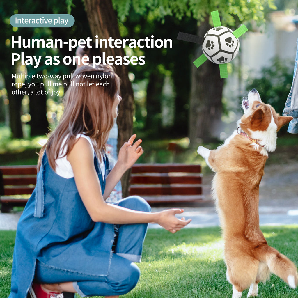 Interactive Inflatable Dog Football For Training - Product Detail 19
