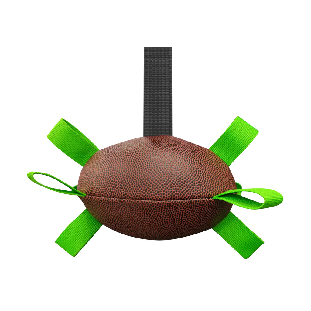 Interactive Inflatable Dog Football For Training - Product Detail 2