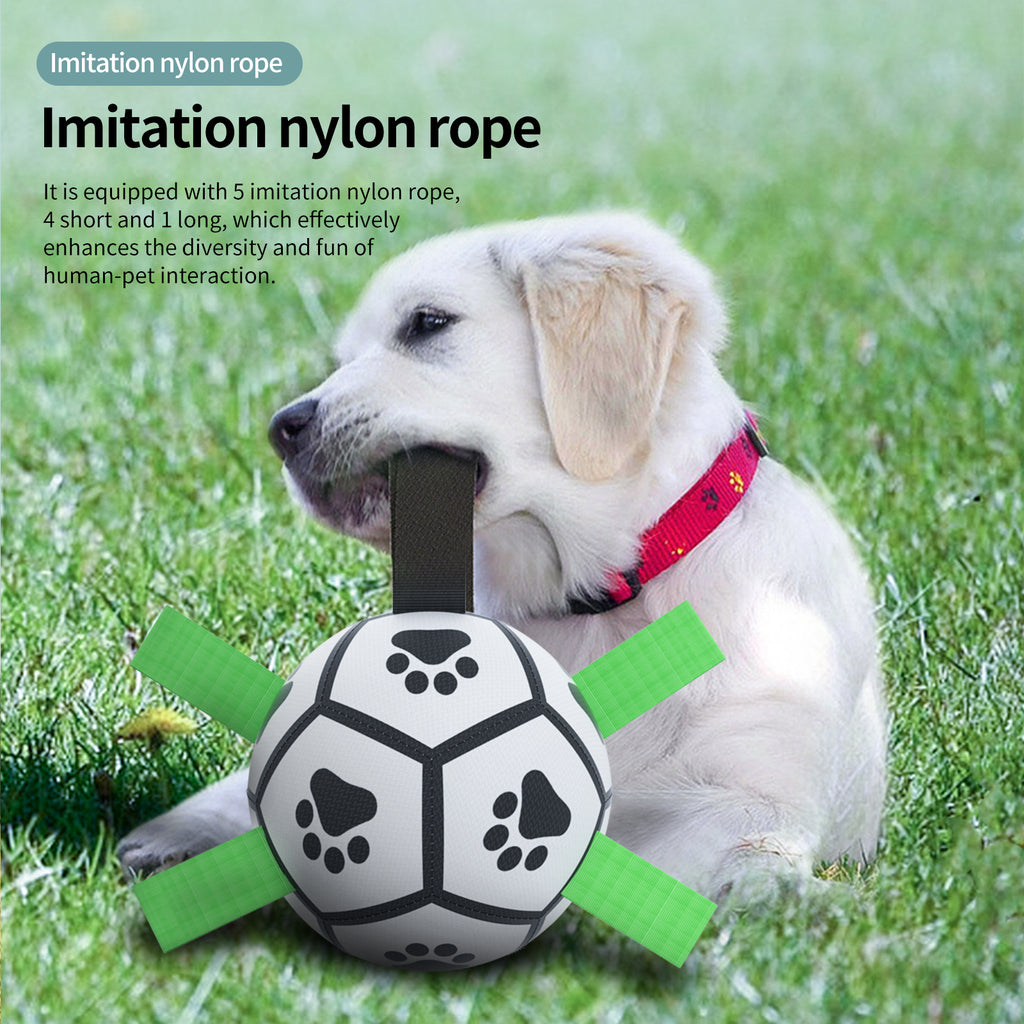 Interactive Inflatable Dog Football For Training - Product Detail 20