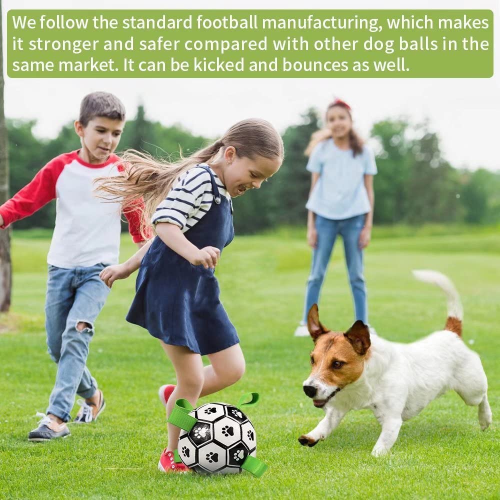 Interactive Inflatable Dog Football For Training - Product Detail 21