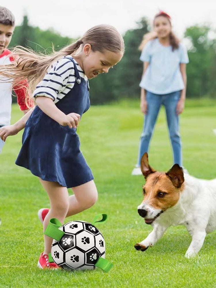 Interactive Inflatable Dog Football For Training - Product Detail 26