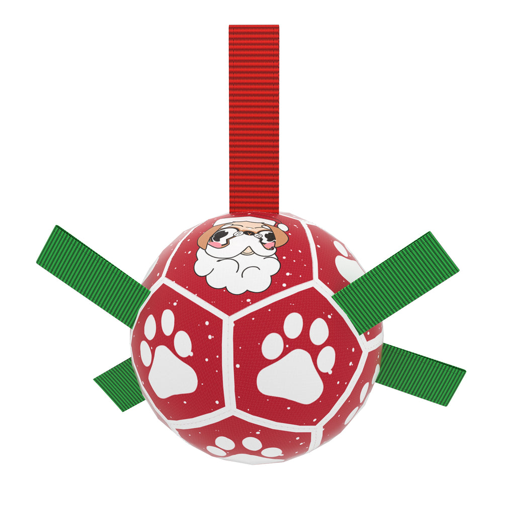 Interactive Inflatable Dog Football For Training - Product Detail 5