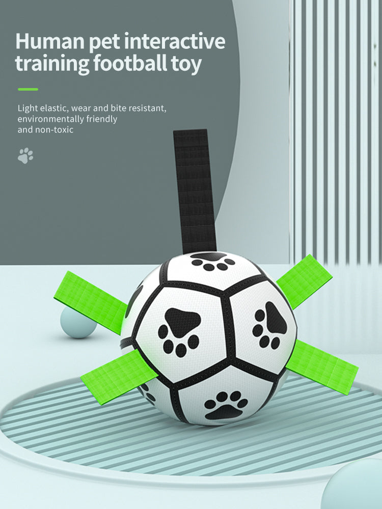 Interactive Inflatable Dog Football For Training - Product Detail 8